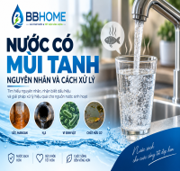 Nước có mùi tanh: Nguyên nhân và cách xử lý hiệu quả